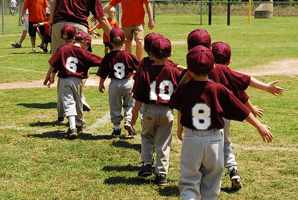 T Ball Baseball Trophies Michigan Leagues